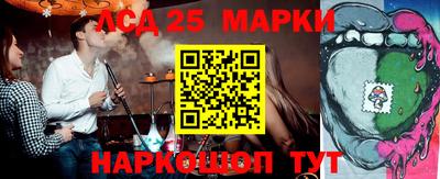 гашик Будённовск