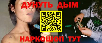 сатива Долгопрудный