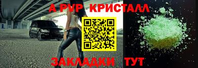 гашик Будённовск