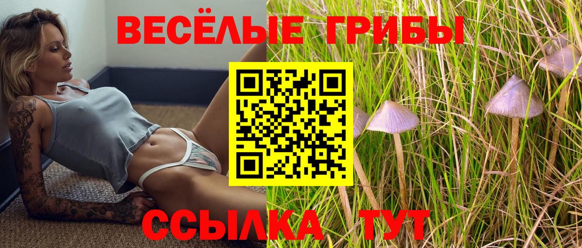 купить наркоту  Вход с VPN  Серов  Галлюциногенные грибы MAGIC MUSHROOMS 